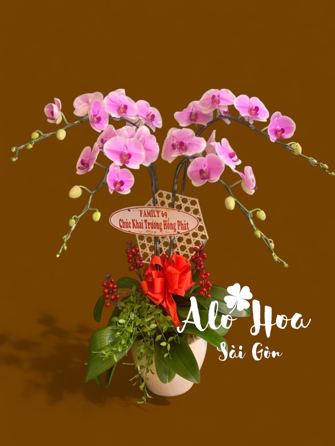 Chậu Lan Hồ Điệp Hồng 4 Cành