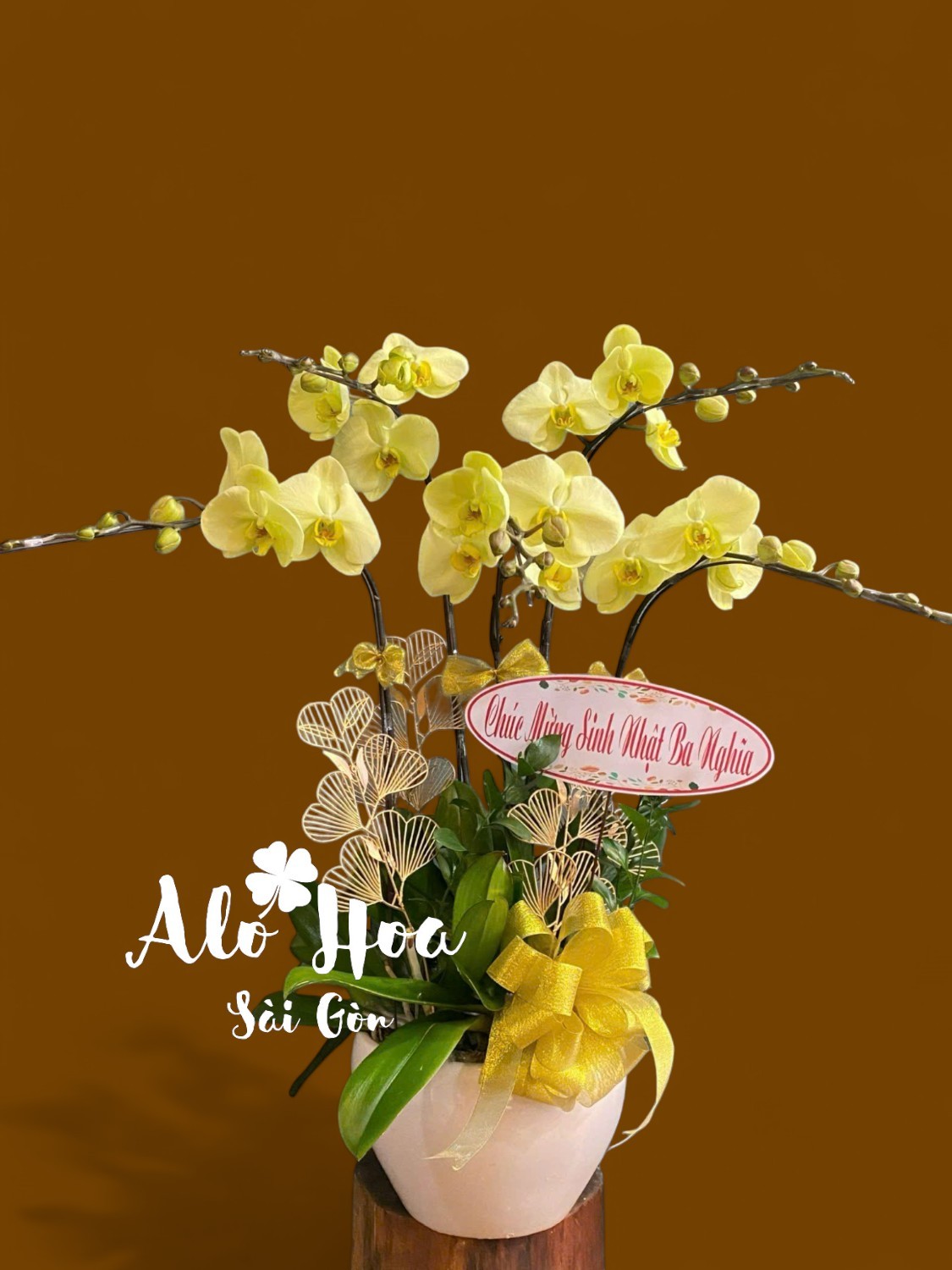 Chậu Lan Hồ Điệp Vàng 5 Cành Đẹp